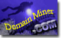 Domain Miner